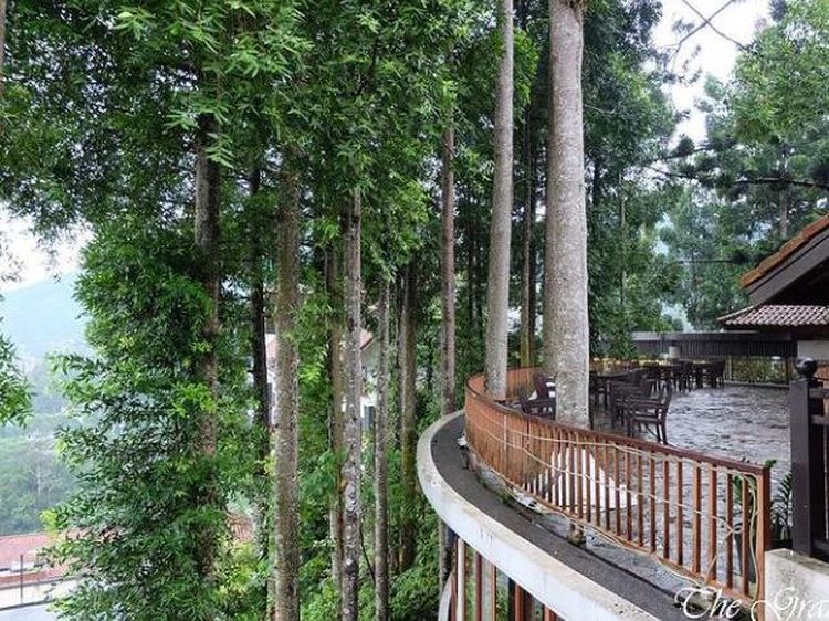 Sejuk Banget! 10 Kafe di Bogor Ini Dikelilingi Pepohonan Rindang