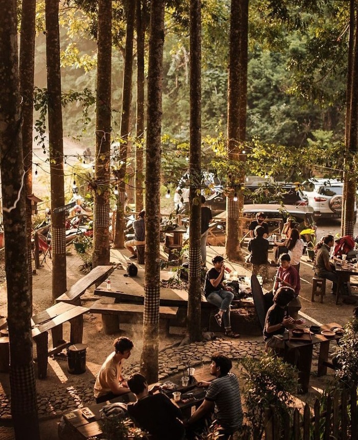 Kafe di Bogor dengan Suasana Sejuk dan Pepohonan Rindang