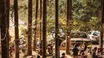 Sejuk Banget! 10 Kafe di Bogor Ini Dikelilingi Pepohonan Rindang
