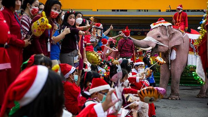 Hibur Anak-anak, Gajah di Thailand Berubah Jadi Santa PHRA NAKHON SI AYUTTHAYA, THAILAND - DECEMBER 24: Elephants dressed in Santa Claus costumes perform for children at the Jirasat Wittaya elementary school on December 24, 2021 in Phra Nakhon si Ayutthaya, Thailand. Each year, elephants from the Royal Elephant Palace in Ayutthaya are dressed up in Santa Claus costumes and visit children at the Jirasat Wittaya elementary school to perform and hand out presents. This year elephants distributed balloons and hand sanitizer to students dressed for the holidays. (Photo by Lauren DeCicca/Getty Images)
