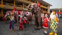 Gajah-gajah berpakaian ala Sinterklas ini tampil untuk menghibur anak-anak.  