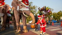 Selain itu gajah dan para pawangnya juga membagikan hadiah.  