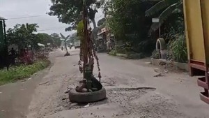 Protes Jalan Rusak, Warga di Sumut Pasang Pohon Pisang di Tengah Jalan