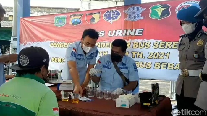 tes urine sopir bus terminal pandaan