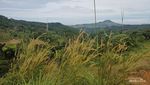 Trekking Sentul, Sehatkan Badan dengan View yang Mantul