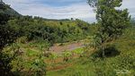 Trekking Sentul, Sehatkan Badan dengan View yang Mantul