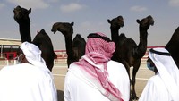 WHO Wanti-wanti Penularan MERS-CoV di Arab Saudi Jelang Musim Haji 2024