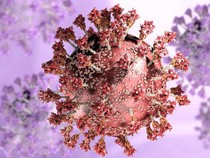 Bagaimana Cara Agar Tidak Tertular Virus HMPV? Begini Kata Dokter Paru