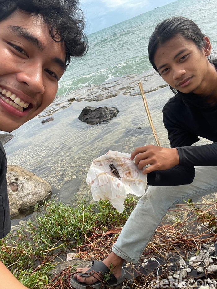 Video seorang pria menemukan sosok mirip jenglot di Pantai Kunjir, Lampung, viral di media sosial (medsos). Bagaimana ceritanya? (dok Pribadi)