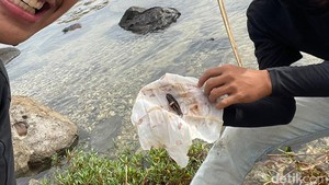 Viral Sosok Jenglot Ditemukan di Pantai Lampung, Begini Ceritanya