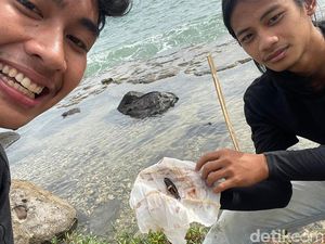 Viral Sosok Jenglot Ditemukan di Pantai Lampung, Begini Ceritanya