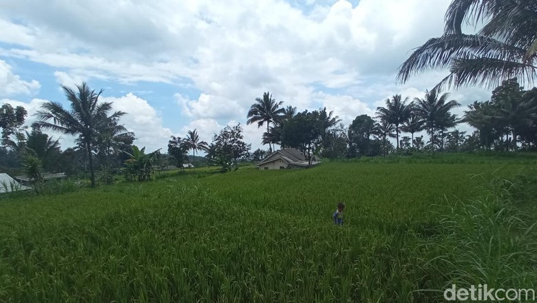 Desa Tetebatu NTB Desa Tetebatu NTB