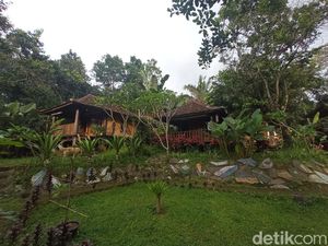Cerita Bule di Tetebatu, Niat Liburan Semalam Jadi Setahun