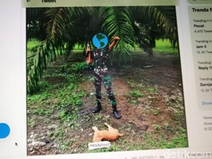 Cerita Viral Oknum TNI Diduga Tembak Anjing Diungkap Kodam Sriwijaya
