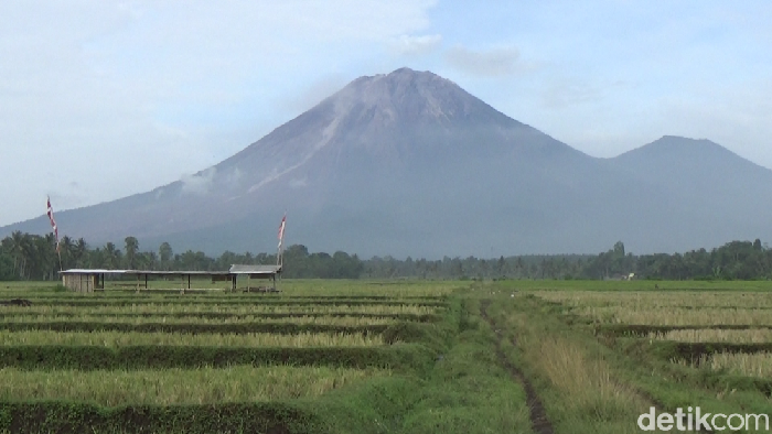Hingga saat ini, Gunung Semeru masih berstatus level 3 atau siaga. Secara visual, asap kawah bertekanan lemah teramati berwarna putih.