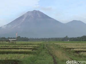 Semeru Masih Siaga, Jarak Aman Tetap 13 Km