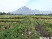 Semeru Masih Siaga, Status Tanggap Darurat Sudah Berakhir