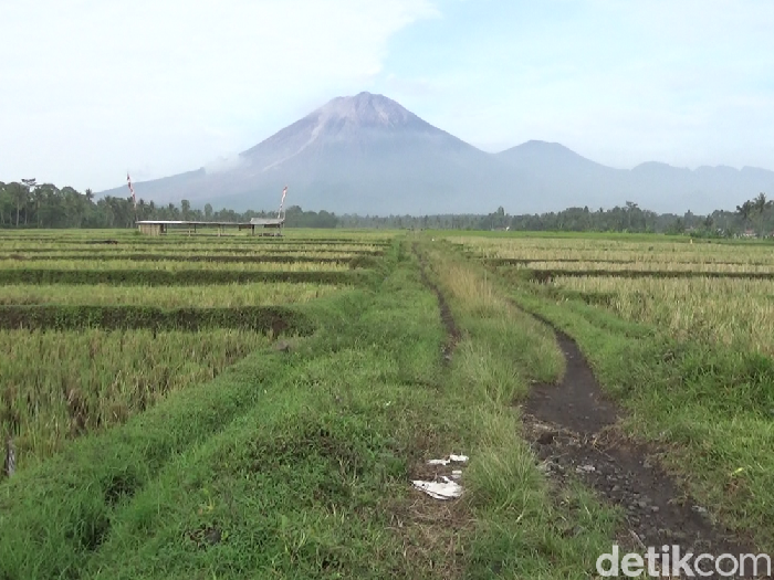 Hingga saat ini, Gunung Semeru masih berstatus level 3 atau siaga. Secara visual, asap kawah bertekanan lemah teramati berwarna putih.