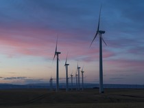 Begini Cara Swasta Tekan Emisi Karbon dan Dorong Transisi Energi