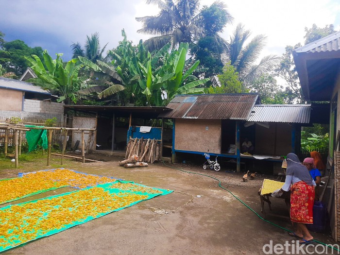 Kegiatan Harian Warga Tetebatu Kegiatan Harian Warga Desa Wisata Tetebatu. Mereka Bercocok Tanam hingga Memiliki Industri Kerupuk Rumahan.