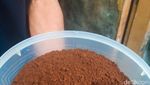 Racikan Kopi khas Desa Tetebatu yang Harum Nikmat