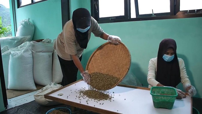 Kopi Temanggung