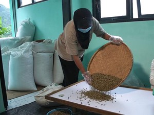 Desa Muncar Temanggung: Kopinya Mendunia, Warganya Bahagia