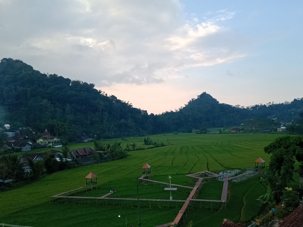 Kopi Temanggung