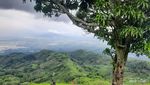 Potret Gunung Pangradinan, Merbabu van Bandung