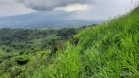 Trek dan jalur Gunung Pangradinan dikelilingi ilalang, jalan setapak yang cukup sempit, dan jurang di sebelah kiri.