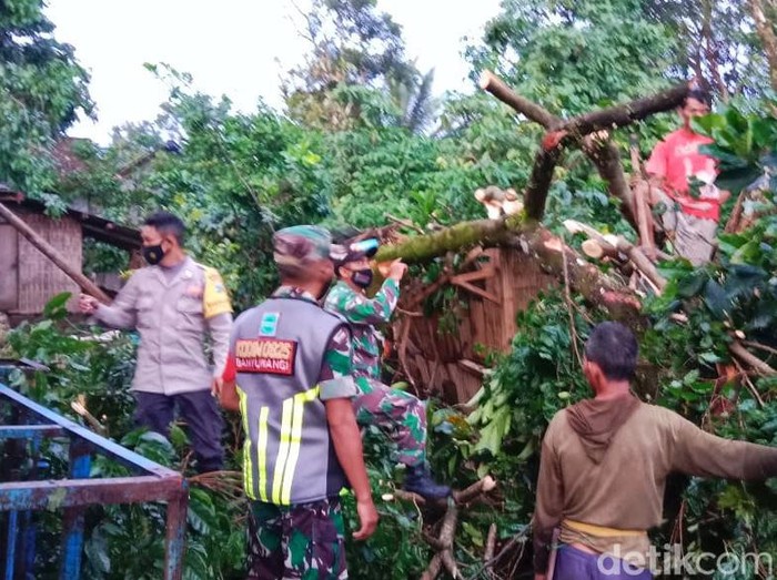 Hujan dan angin kencang menerjang Desa Sumberarum, Kecamatan Songgon, Banyuwangi. Sedikitnya ada 17 rumah rusak serta puluhan pohon tumbang.
