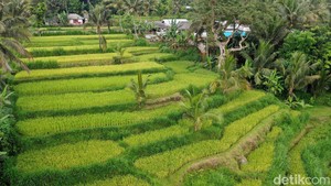 Tetebatu, Desa Wisata Indah dari Lombok