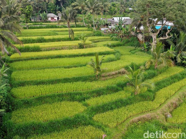 Tetebatu, Desa Wisata Indah dari Lombok