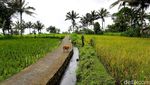 Terpesona dengan Tetebatu, Desa Wisata Terindah Dunia!