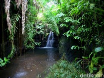 Keindahan Alam Air Terjun Tetebatu yang Jarang Dikunjungi Wisatawan
