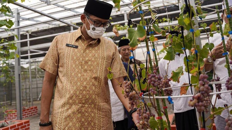 Sandiaga Uno di Pondok Pesantren An Nawawi, Tanara, Serang, Banten Menparekraf Sandiaga Uno ketika berkunjung ke Pondok Pesantren An Nawawi, Tanara, Serang, Banten.