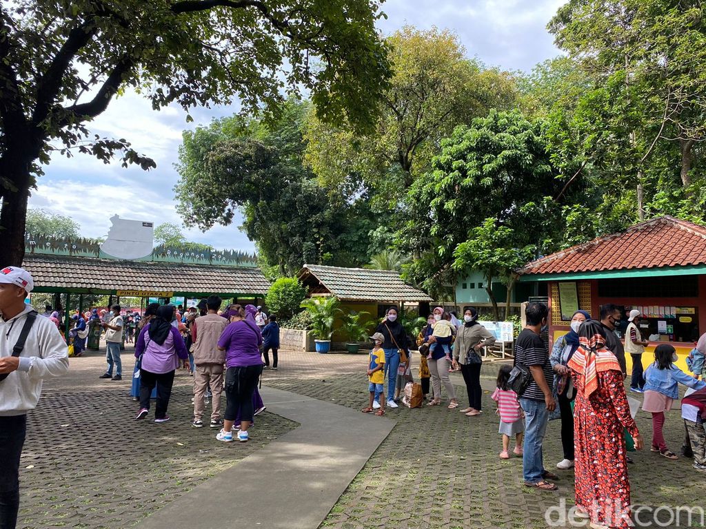Susana Taman Margasatwa Ragunan Jakarta Selatan, 25 Desember 2021 pagi. (Annisa RF/detikcom)