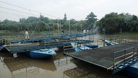 Setiap hari tidak kurang dari 10.000 pengendara motor memanfaatkan jembatan ini. H Endang menjaga operasional jembatan perahu miliknya itu dengan dibantu 40 karyawannya.