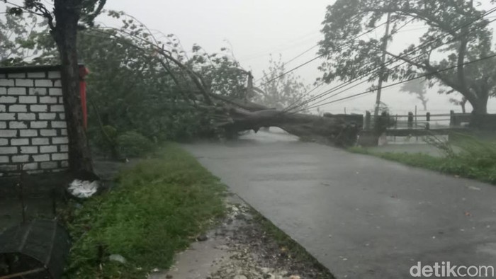angin kencang di lamongan