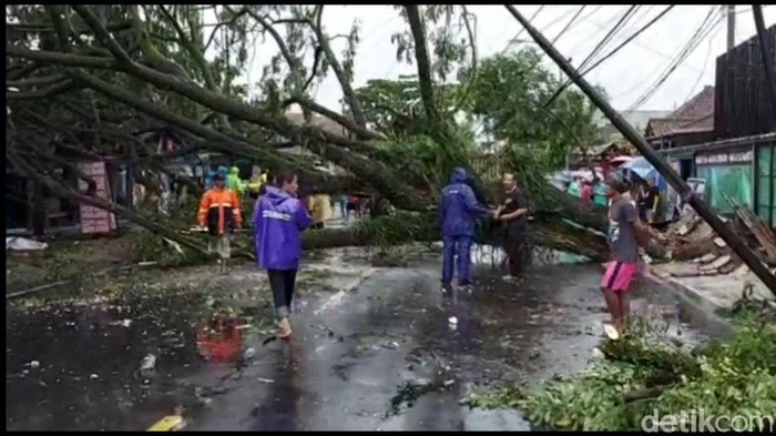 Belasan pohon tumbang akibat angin puting beliung di Tasikmalaya