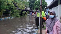 Beberapa pohon tumbang melintang di tengah jalan dan menyebabkan kemacetan. Pohon lain juga merusak dan memutus jaringan listrik. 