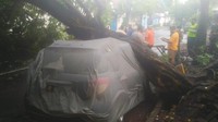 Satu pohon tumbang di Jalan Lombok, Kecamatan Panggungrejo menimpa mobil yang tengah diparkir. Mobil Suzuki X Over itu rusak di bagian tengah. 