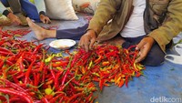 Harga cabai saat ini sedang pedas-pedasnya. Di Pasar Cibubur, Jakarta Timur, sekilo cabai rawit dibandrol Rp 120 ribu per kilogram.