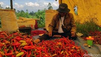 Hal tersebut dipicu sejumlah faktor di tingkat petani.