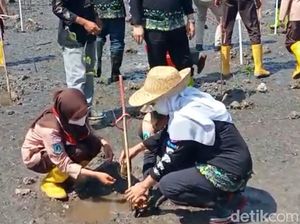 Gubernur Khofifah Nandur 1.500 Mangrove di Pantai Bohay Probolinggo