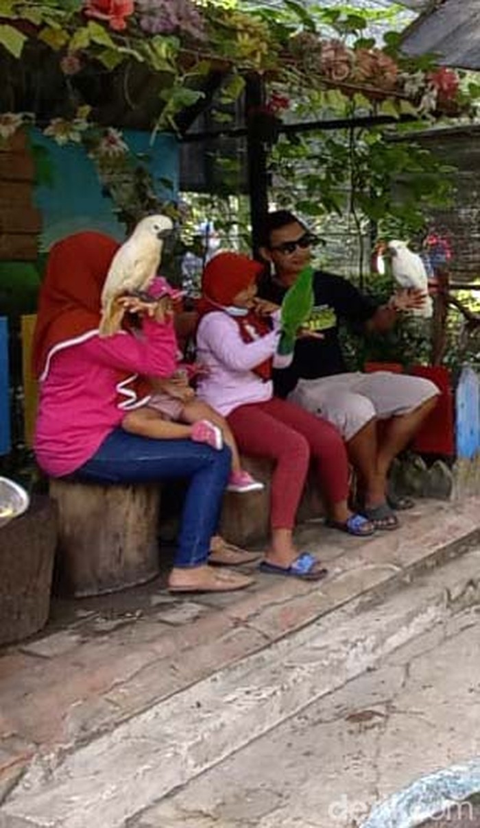 Libur Natal, Solo Zoo Diserbu Pengunjung Kebun binatang Solo Zoo ramai pengunjung saat libur Natal ini, Minggu (26/12/2021). Jumlah pengunjung bisa meningkat dua kali lipat.