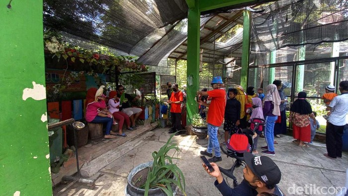 Kebun binatang Solo Zoo ramai pengunjung saat libur Natal ini, Minggu (26/12/2021). Jumlah pengunjung bisa meningkat dua kali lipat.