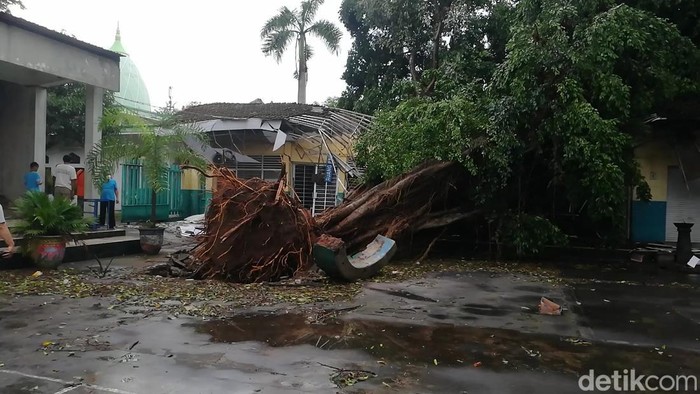pohon beringin besar timpa ruang kelas sma 2 pasuruan