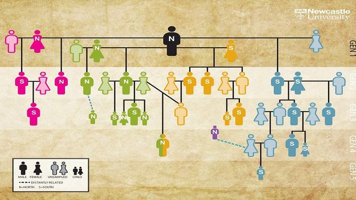 Analisis DNA kuno dari salah satu makam Neolitikum di Inggris berhasil mengungkap silsilah keluarga tertua di dunia.