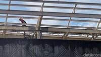 Balai Teknik Perkeretaapian Wilayah Jakarta Banten (BTPWJB) terus mengebut pembangunan Stasiun Matraman yang ditargetkan dapat beroperasi pada 2022 mendatang.